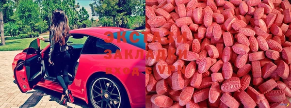 винт Верея
