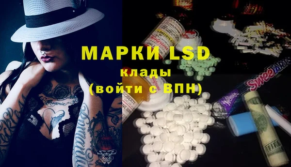 винт Верея