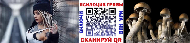 Псилоцибиновые грибы прущие грибы  Купить где  Лабытнанги 